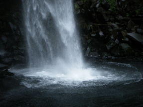 DSCF1424