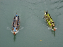 DSC08271