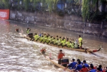10onseawin