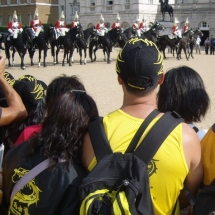 328horses
